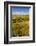 USA, Washington, Walla Walla.Wildflowers in a Vineyard in Wine Country-Richard Duval-Framed Photographic Print