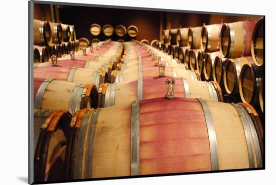 USA, Washington. Washington's wine country-Richard Duval-Mounted Photographic Print