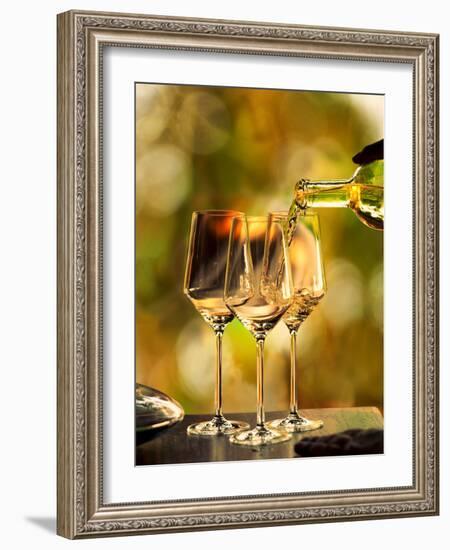 USA, Washington, Woodinville. Woman pours white wine into three glasses for a wine-tasting event.-Richard Duval-Framed Photographic Print