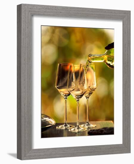 USA, Washington, Woodinville. Woman pours white wine into three glasses for a wine-tasting event.-Richard Duval-Framed Photographic Print