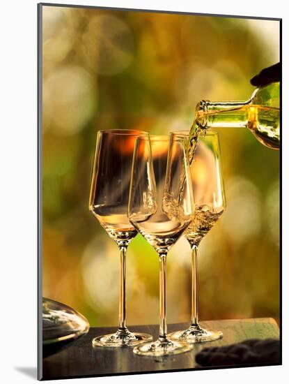 USA, Washington, Woodinville. Woman pours white wine into three glasses for a wine-tasting event.-Richard Duval-Mounted Photographic Print