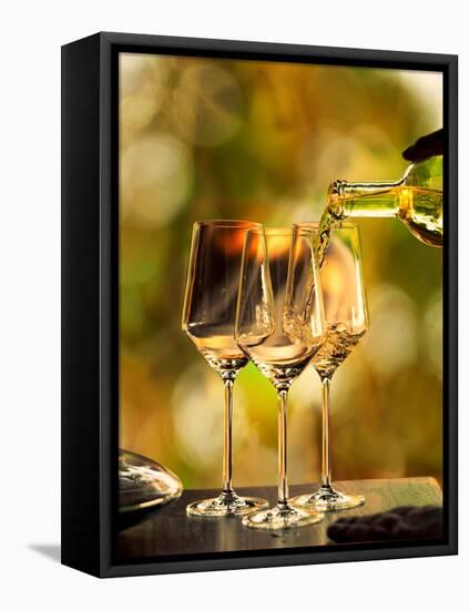 USA, Washington, Woodinville. Woman pours white wine into three glasses for a wine-tasting event.-Richard Duval-Framed Premier Image Canvas