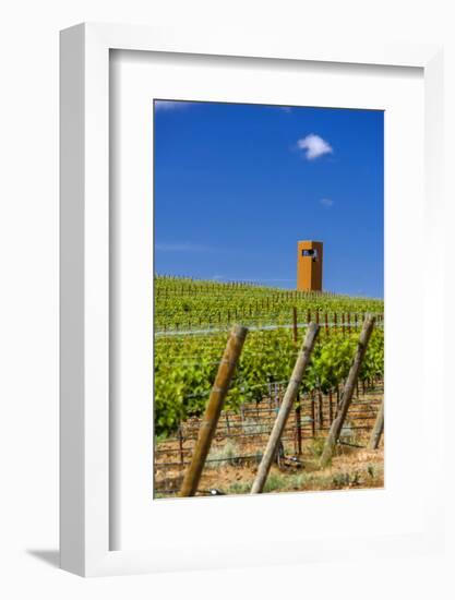 USA, Washington, Yakima Valley. Col Solare Winery and Vineyard-Richard Duval-Framed Photographic Print