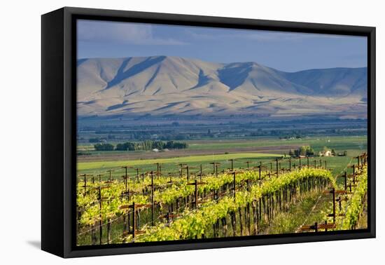USA, Washington, Yakima. View from One of the Red Willow Vineyards-Janis Miglavs-Framed Premier Image Canvas