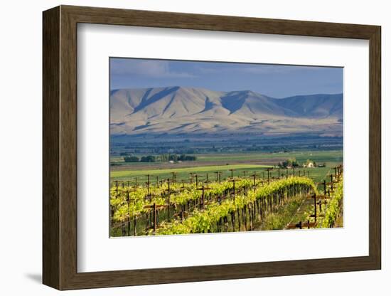 USA, Washington, Yakima. View from One of the Red Willow Vineyards-Janis Miglavs-Framed Photographic Print