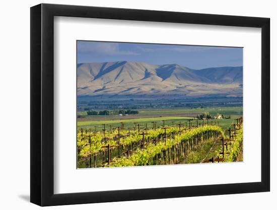 USA, Washington, Yakima. View from One of the Red Willow Vineyards-Janis Miglavs-Framed Photographic Print