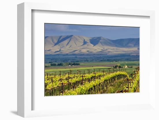 USA, Washington, Yakima. View from One of the Red Willow Vineyards-Janis Miglavs-Framed Photographic Print