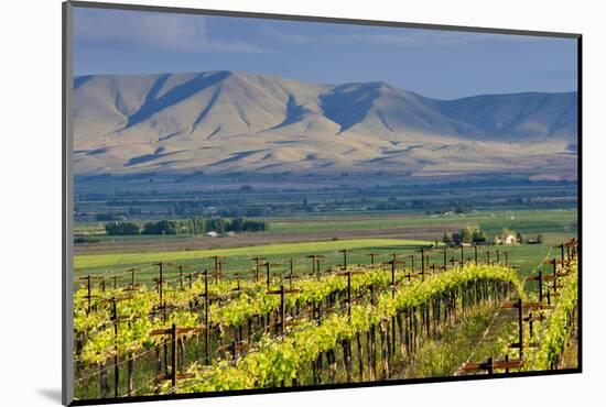 USA, Washington, Yakima. View from One of the Red Willow Vineyards-Janis Miglavs-Mounted Photographic Print