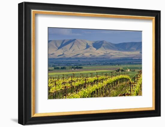 USA, Washington, Yakima. View from One of the Red Willow Vineyards-Janis Miglavs-Framed Photographic Print