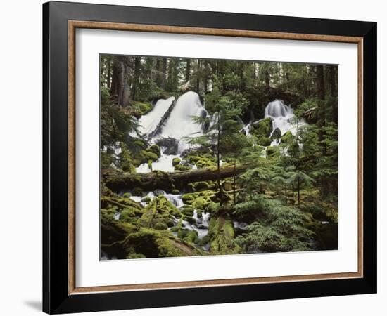USA,  Waterfall in Pacific Northwest-Christopher Talbot Frank-Framed Photographic Print