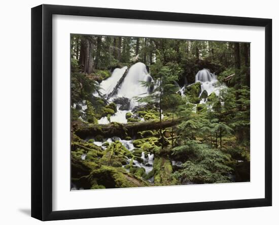 USA,  Waterfall in Pacific Northwest-Christopher Talbot Frank-Framed Photographic Print