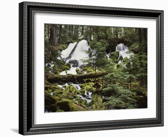 USA,  Waterfall in Pacific Northwest-Christopher Talbot Frank-Framed Photographic Print