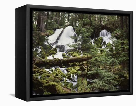 USA,  Waterfall in Pacific Northwest-Christopher Talbot Frank-Framed Premier Image Canvas