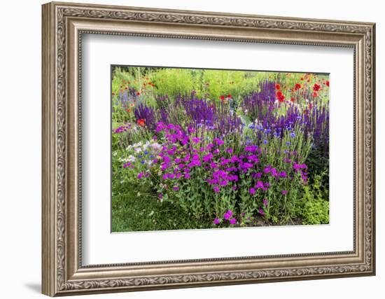 USA, Wayne, Pennsylvania. Summer Flowers in Chanticleer Garden-Jay O'brien-Framed Photographic Print