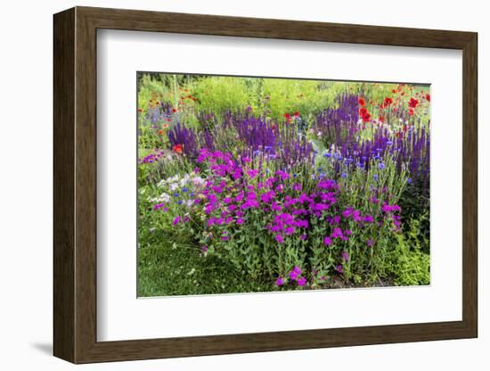 USA, Wayne, Pennsylvania. Summer Flowers in Chanticleer Garden-Jay O'brien-Framed Photographic Print