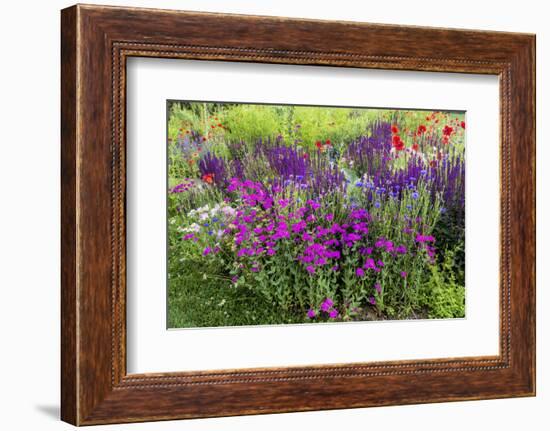 USA, Wayne, Pennsylvania. Summer Flowers in Chanticleer Garden-Jay O'brien-Framed Photographic Print