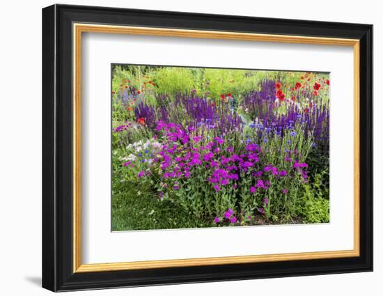 USA, Wayne, Pennsylvania. Summer Flowers in Chanticleer Garden-Jay O'brien-Framed Photographic Print