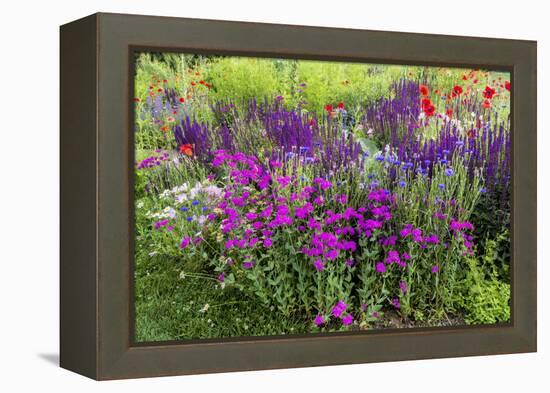 USA, Wayne, Pennsylvania. Summer Flowers in Chanticleer Garden-Jay O'brien-Framed Premier Image Canvas