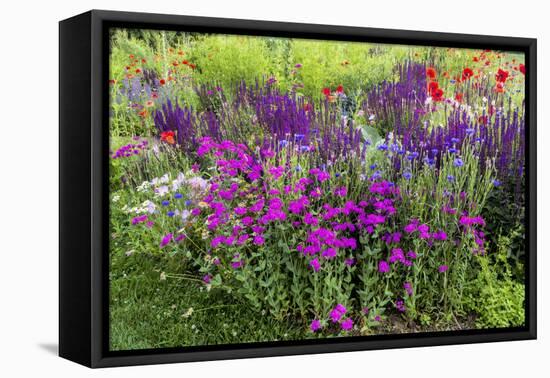 USA, Wayne, Pennsylvania. Summer Flowers in Chanticleer Garden-Jay O'brien-Framed Premier Image Canvas