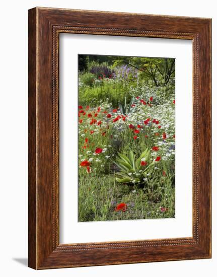 USA, Wayne, Pennsylvania. Summer Flowers in Chanticleer Garden-Jay O'brien-Framed Photographic Print