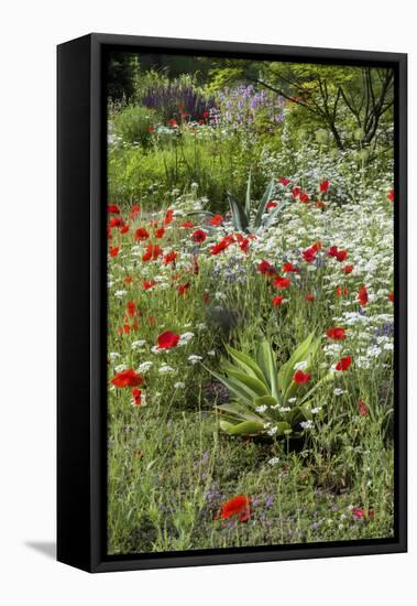 USA, Wayne, Pennsylvania. Summer Flowers in Chanticleer Garden-Jay O'brien-Framed Premier Image Canvas