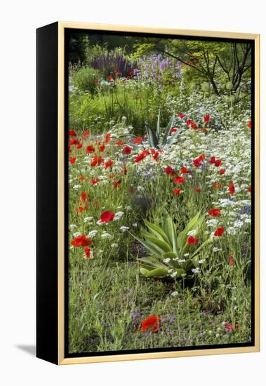 USA, Wayne, Pennsylvania. Summer Flowers in Chanticleer Garden-Jay O'brien-Framed Premier Image Canvas