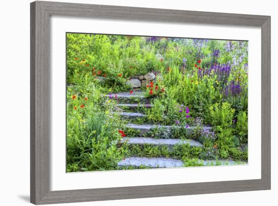 USA, Wayne, Pennsylvania. Summer Flowers in Chanticleer Garden-Jay O'brien-Framed Photographic Print