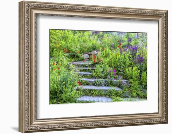 USA, Wayne, Pennsylvania. Summer Flowers in Chanticleer Garden-Jay O'brien-Framed Photographic Print