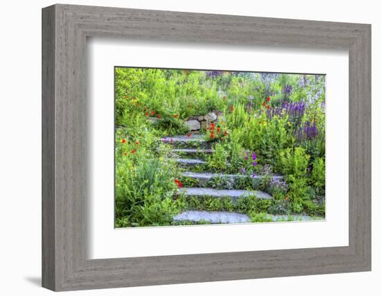 USA, Wayne, Pennsylvania. Summer Flowers in Chanticleer Garden-Jay O'brien-Framed Photographic Print