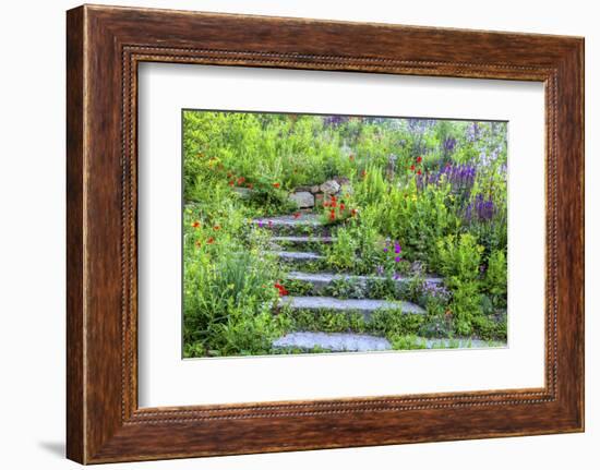 USA, Wayne, Pennsylvania. Summer Flowers in Chanticleer Garden-Jay O'brien-Framed Photographic Print