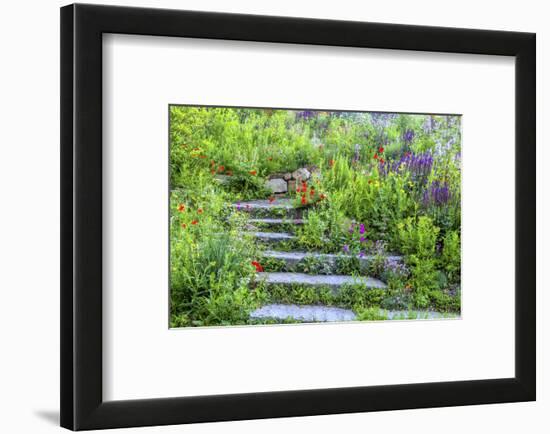 USA, Wayne, Pennsylvania. Summer Flowers in Chanticleer Garden-Jay O'brien-Framed Photographic Print