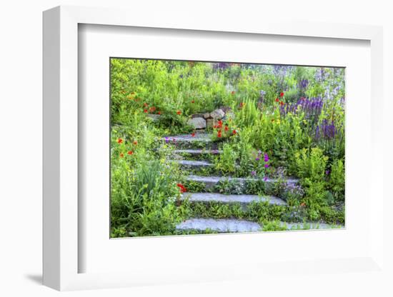 USA, Wayne, Pennsylvania. Summer Flowers in Chanticleer Garden-Jay O'brien-Framed Photographic Print