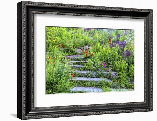 USA, Wayne, Pennsylvania. Summer Flowers in Chanticleer Garden-Jay O'brien-Framed Photographic Print