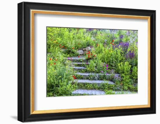 USA, Wayne, Pennsylvania. Summer Flowers in Chanticleer Garden-Jay O'brien-Framed Photographic Print