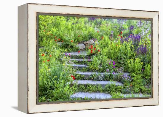 USA, Wayne, Pennsylvania. Summer Flowers in Chanticleer Garden-Jay O'brien-Framed Premier Image Canvas