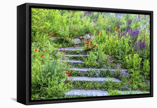 USA, Wayne, Pennsylvania. Summer Flowers in Chanticleer Garden-Jay O'brien-Framed Premier Image Canvas