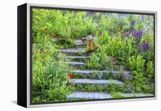 USA, Wayne, Pennsylvania. Summer Flowers in Chanticleer Garden-Jay O'brien-Framed Premier Image Canvas