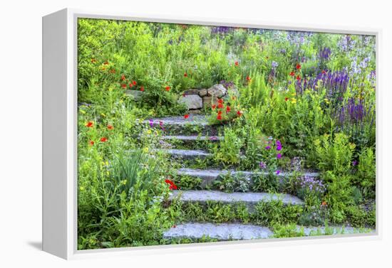 USA, Wayne, Pennsylvania. Summer Flowers in Chanticleer Garden-Jay O'brien-Framed Premier Image Canvas
