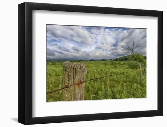 USA, West Virginia. A high mountain meadow in the Canaan Valley.-Christopher Reed-Framed Photographic Print