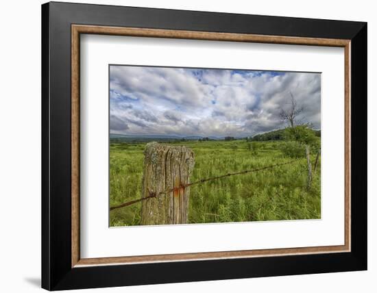 USA, West Virginia. A high mountain meadow in the Canaan Valley.-Christopher Reed-Framed Photographic Print