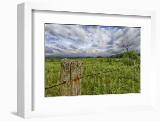 USA, West Virginia. A high mountain meadow in the Canaan Valley.-Christopher Reed-Framed Photographic Print