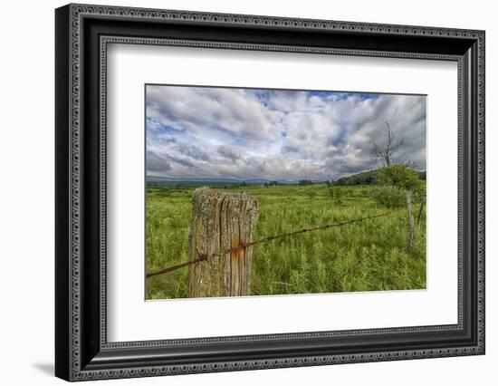 USA, West Virginia. A high mountain meadow in the Canaan Valley.-Christopher Reed-Framed Photographic Print