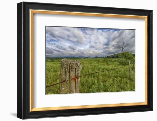 USA, West Virginia. A high mountain meadow in the Canaan Valley.-Christopher Reed-Framed Photographic Print