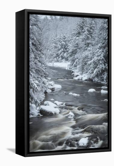 USA, West Virginia, Blackwater Falls State Park. Forest and stream in winter.-Jaynes Gallery-Framed Premier Image Canvas