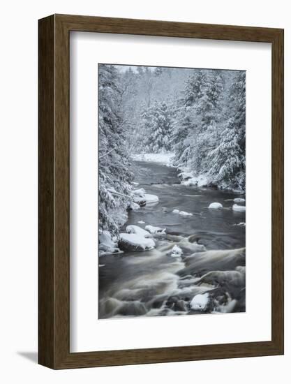 USA, West Virginia, Blackwater Falls State Park. Forest and stream in winter.-Jaynes Gallery-Framed Photographic Print