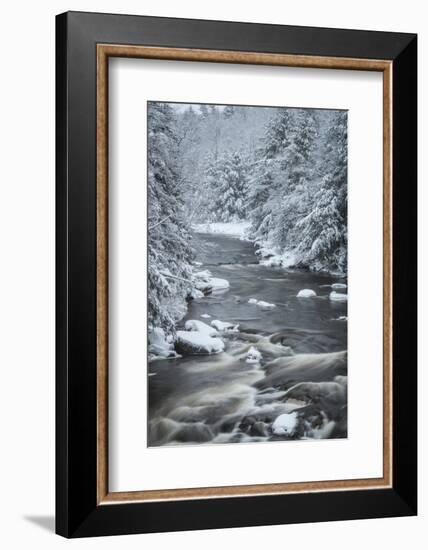 USA, West Virginia, Blackwater Falls State Park. Forest and stream in winter.-Jaynes Gallery-Framed Photographic Print