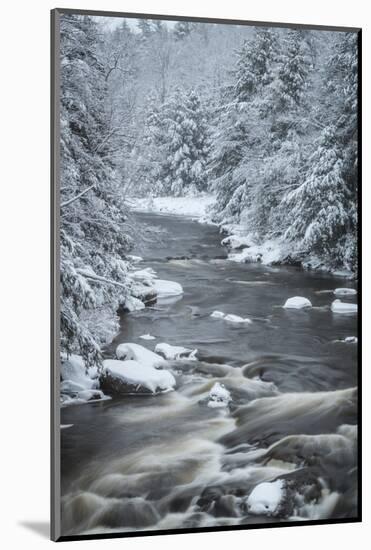 USA, West Virginia, Blackwater Falls State Park. Forest and stream in winter.-Jaynes Gallery-Mounted Photographic Print