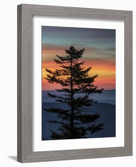 USA, West Virginia, Blackwater Falls State Park. Tree and landscape at sunset.-Jaynes Gallery-Framed Photographic Print