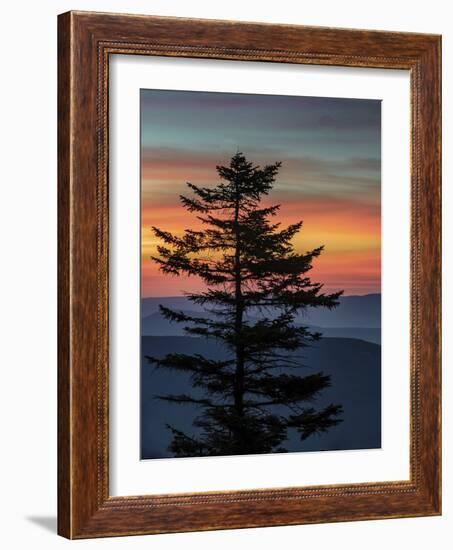 USA, West Virginia, Blackwater Falls State Park. Tree and landscape at sunset.-Jaynes Gallery-Framed Photographic Print