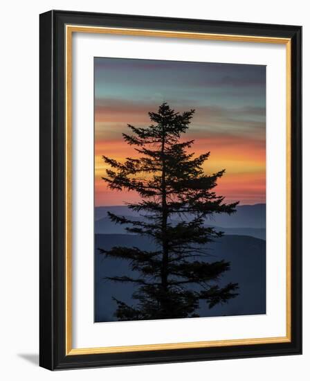 USA, West Virginia, Blackwater Falls State Park. Tree and landscape at sunset.-Jaynes Gallery-Framed Photographic Print